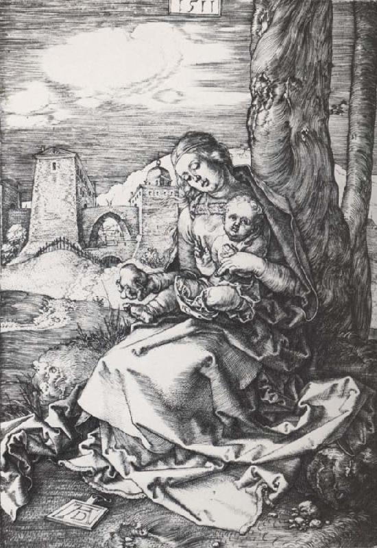 Albrecht Durer The Madonna with the pear oil painting picture